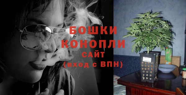 твердый Горнозаводск