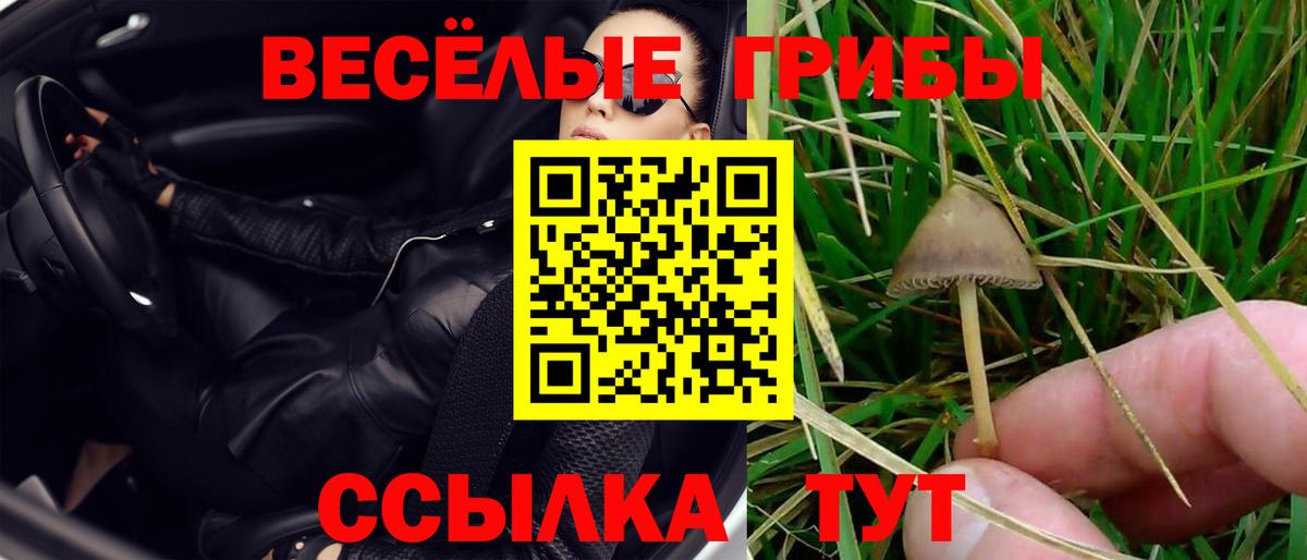 Галлюциногенные грибы прущие грибы Георгиевск