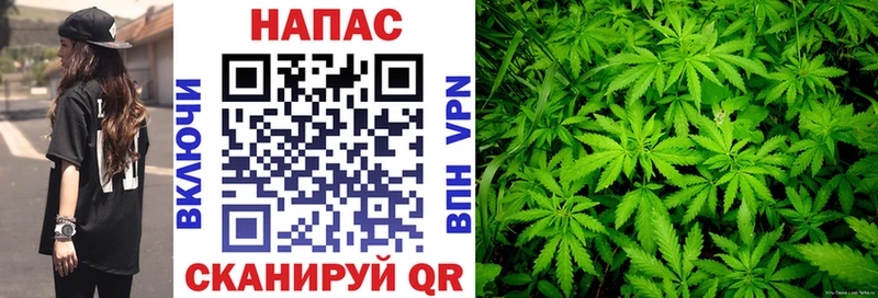 Каннабис марихуана  что такое   Георгиевск 